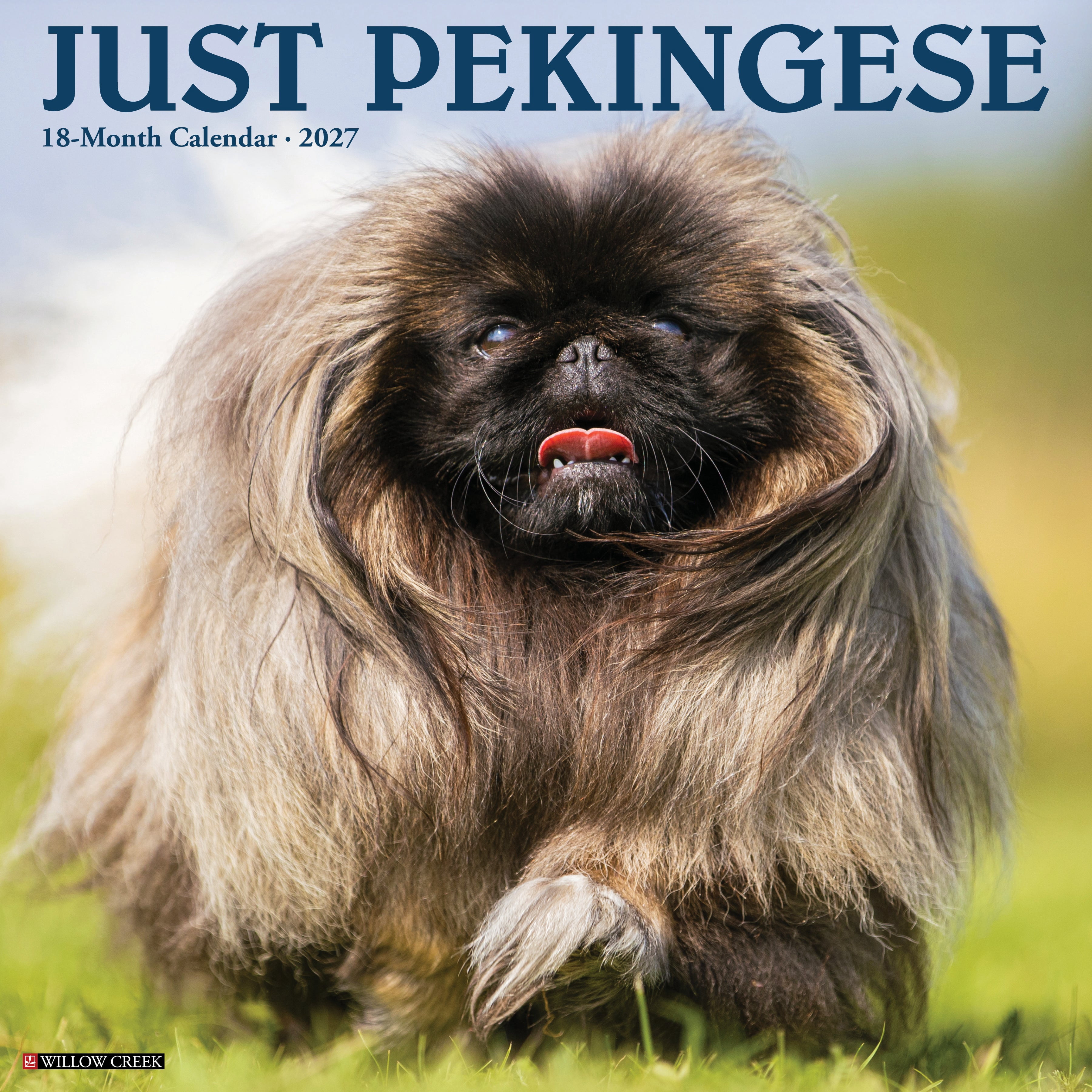 Willow Creek Press, Pekingese 2027 Wall Calendar