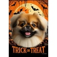 thumbnail image 1 of Pekingese Red - Best of Breed  Halloween House Flag 28" x 40", 1 of 1