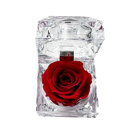 Pekkaxy Eternal Rose in Clear Acrylic Box, Preserved Mini Flower Anniversary Wedding Valentines Birthday Gifts for Women Mom Girlfriend, Mothers Day, Anniversary, Valentines, Christmas, Birthday