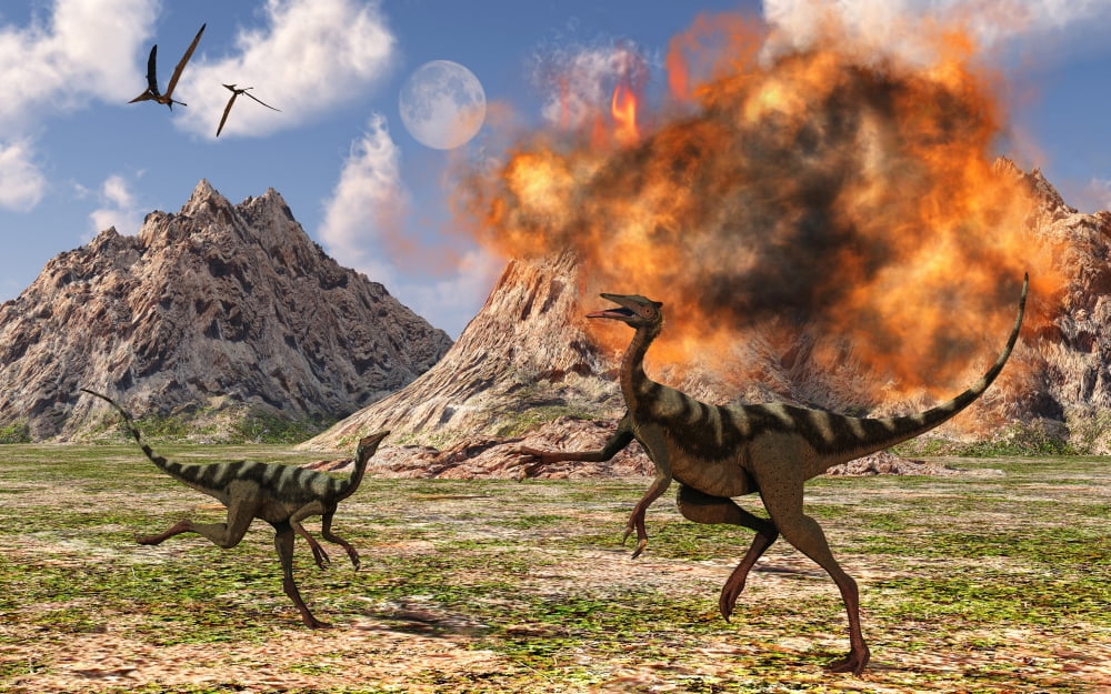 Pelecanimimus dinosaurs fleeing from a volcanic eruption Canvas Art - Mark StevensonStocktrek Images (36 x 23)