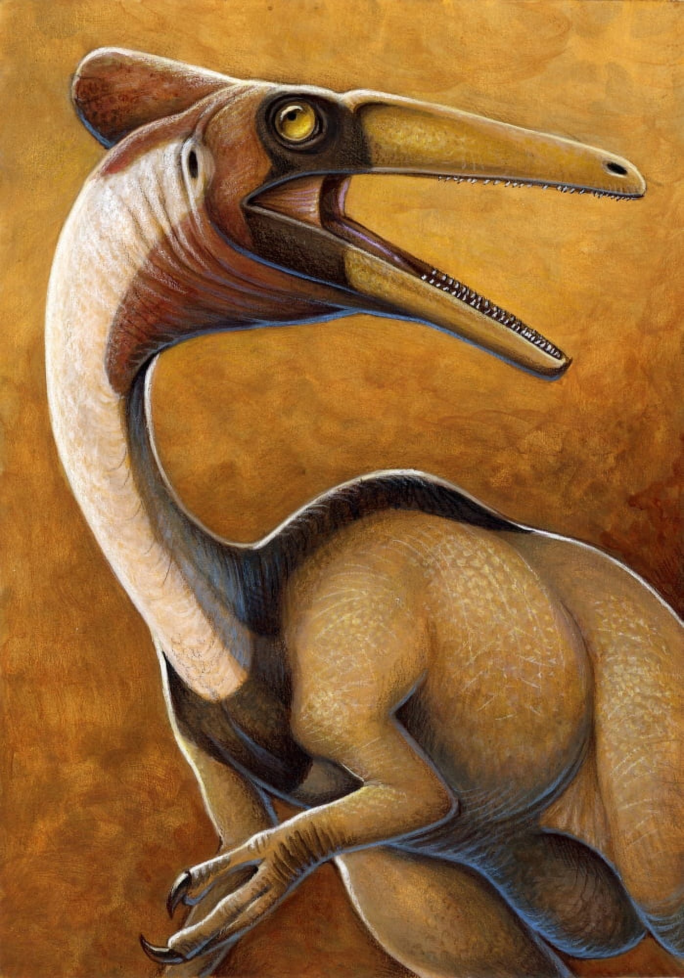 Pelecanimimus from the Early Cretaceous period Canvas Art - H Kyoht LutermanStocktrek Images (24 x 34)