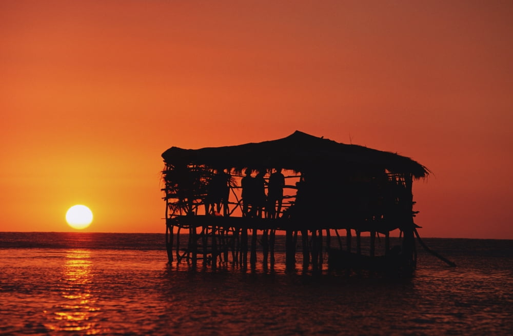 Pelican Bar At Sunset Canvas Art - Paul Hackett Design Pics (19 x 12)