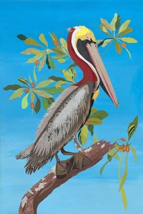 Pelican Canvas Art - Jennifer Peck (12 x 18)
