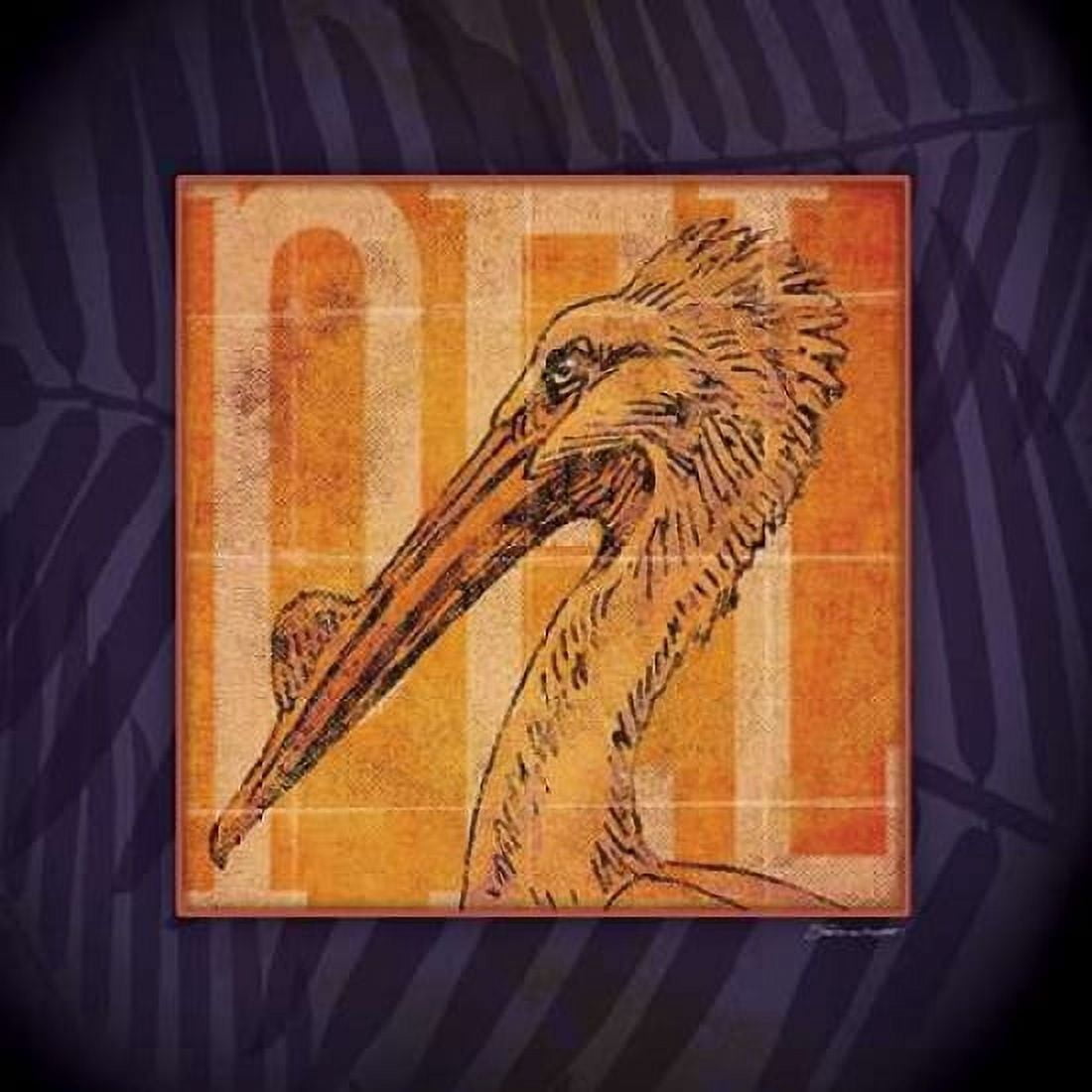 Pelican Canvas Art - Stephanie Marrott (24 x 24)