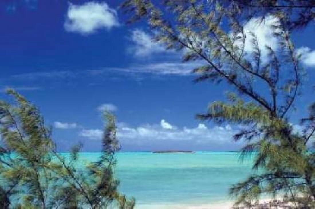 Pelican Cay Canvas Art - Larry Malvin (24 x 36)