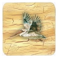 thumbnail image 1 of Pelican Foam Coasters - Set 4, 3.5 x 3.5 In., 1 of 1