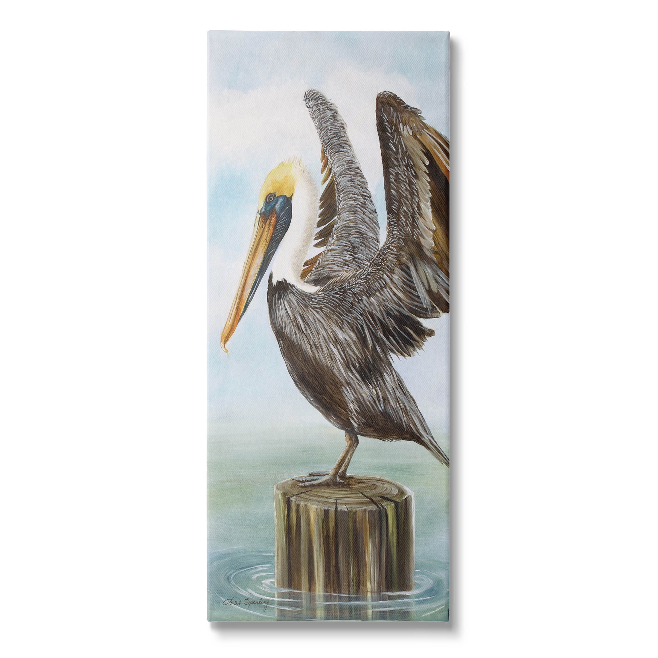 Pelican Grazing Sea Water Animals & Insects Painting Gallery Wrapped Canvas Print Wall Art