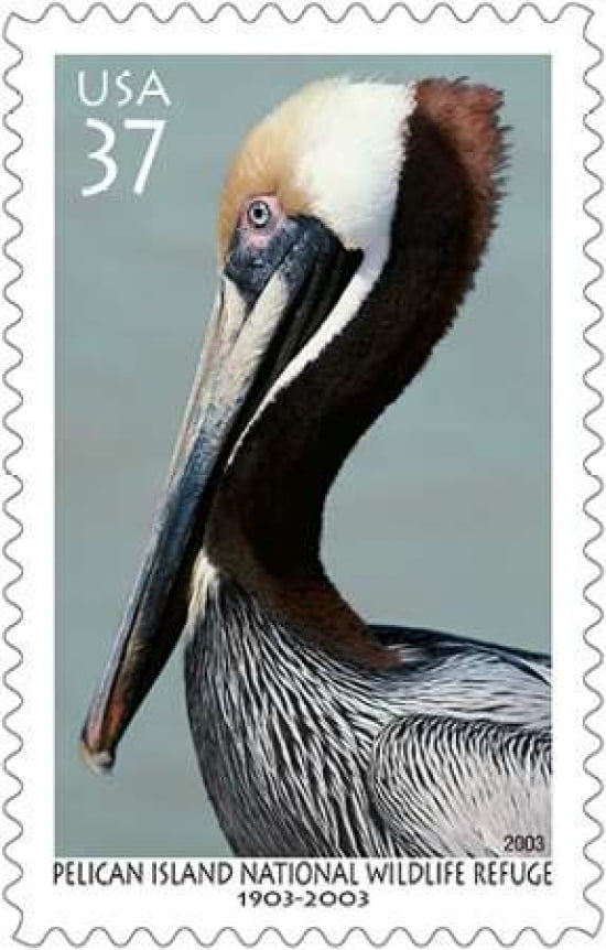 Pelican Island National Wildlife Refuge Canvas Art - US POSTAL SERVICE (24 x 36)