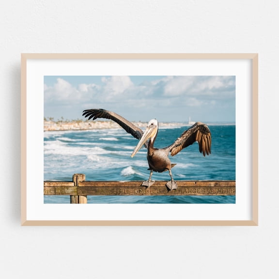 Pelican, Oceanside 02 - Oceanside California Photography Oak Framed Wall Art Print 20 x 30 inches