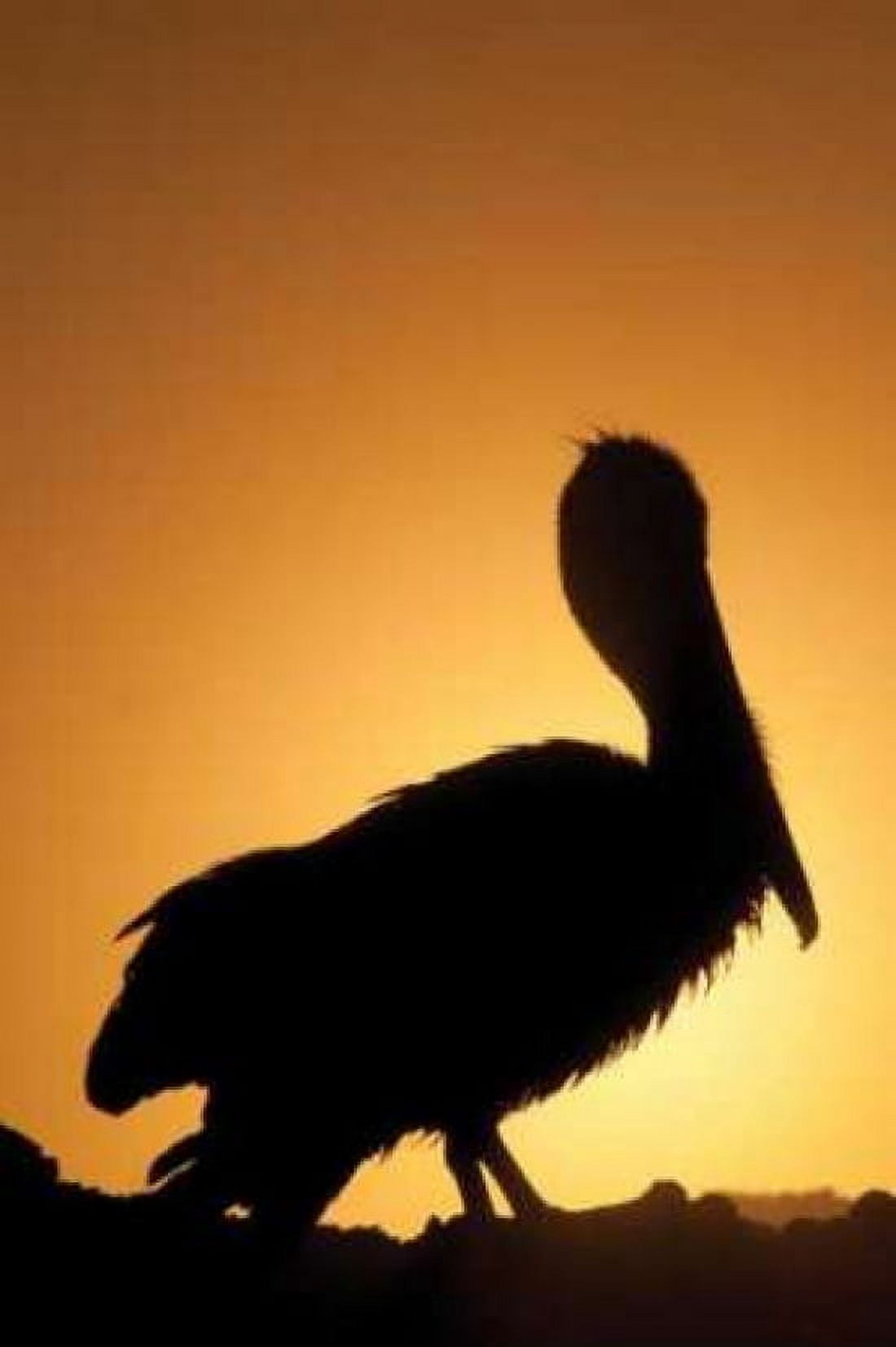 Pelican Silhouette II Canvas Art - Erin Berzel (20 x 28)