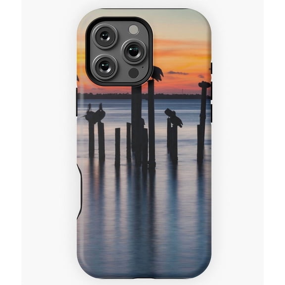 Pelican Silhouettes at Sunset N4829 Phone Case for iPhone 17 16 15 14 13 12 11 Pro Max