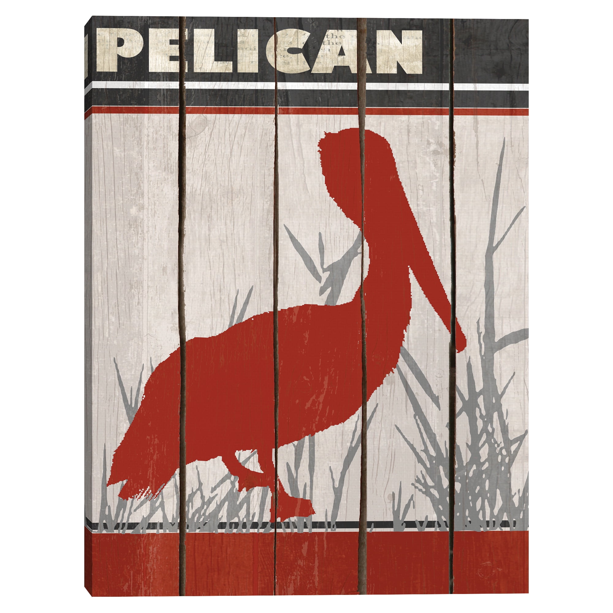 Pelican by Karen Williams Canvas Art Print