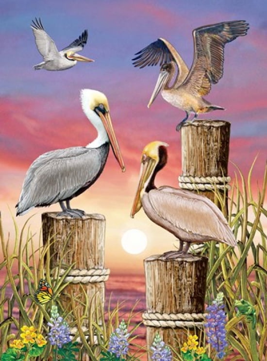 Pelicans-Vertical Canvas Art - Rosiland Solomon (14 x 19)