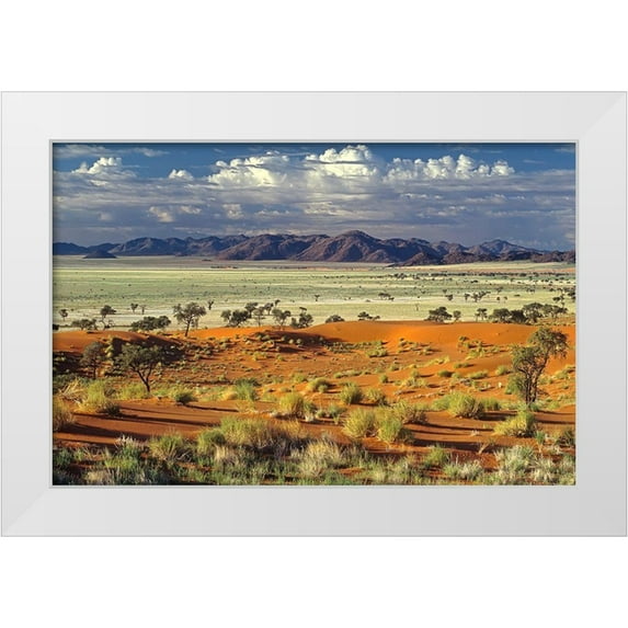 Pelissier, Marc 32x22 White Modern Wood Framed Museum Art Print Titled - Tok Tokkie Desert