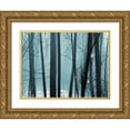 thumbnail image 1 of Pelkey, Marvin 18x15 Gold Ornate Wood Framed with Double Matting Museum Art Print Titled - Spring Mist II, 1 of 4