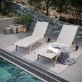 thumbnail image 1 of Pellebant  2PCS Outdoor Adjustable Chaise Lounge Chair with Wheels - N/A White&Gray&Blue, 1 of 5
