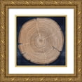 thumbnail image 1 of Pellisier, Sandrine 12x12 Gold Ornate Wood Framed with Double Matting Museum Art Print Titled - Tree Lines, 1 of 4