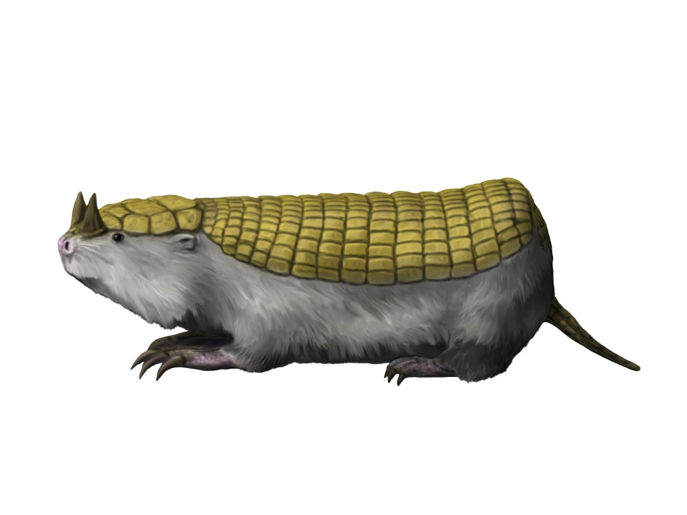 Peltephilus is a xenarthran mammal from the Miocene epoch Canvas Art - Nobumichi TamuraStocktrek Images (17 x 13)