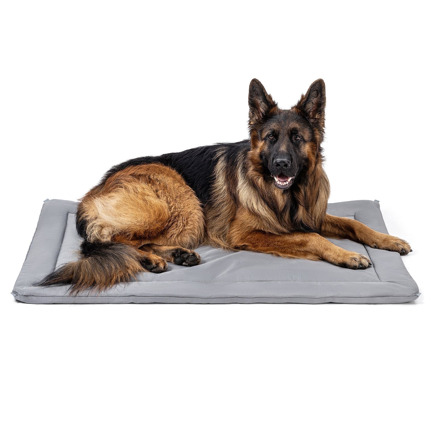 Pelzin Cybarmour Chew Proof Dog Crate Pad - Outdoor Indestructible Dog Bed - Tough - Potable - Machine Washable - Water & Dirt-Resistant - Extra Large Breeds & Fits 48-Inch Crate - 47"x29", Limestone