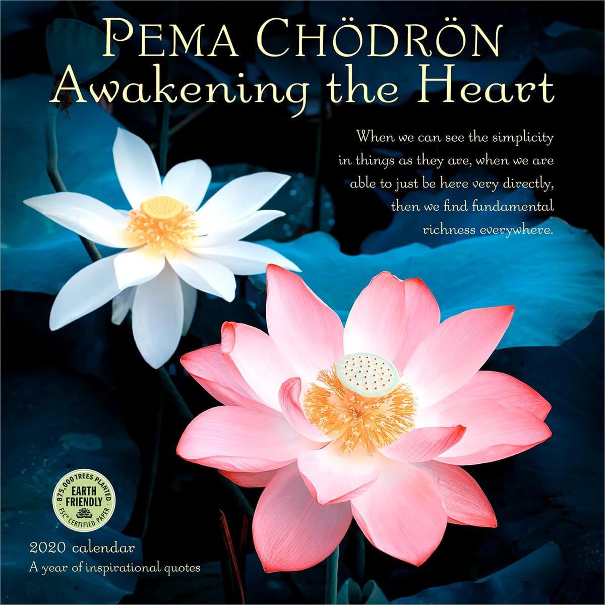 Pema Chodron 2020 Wall Calendar Awakening the Heart (Other)