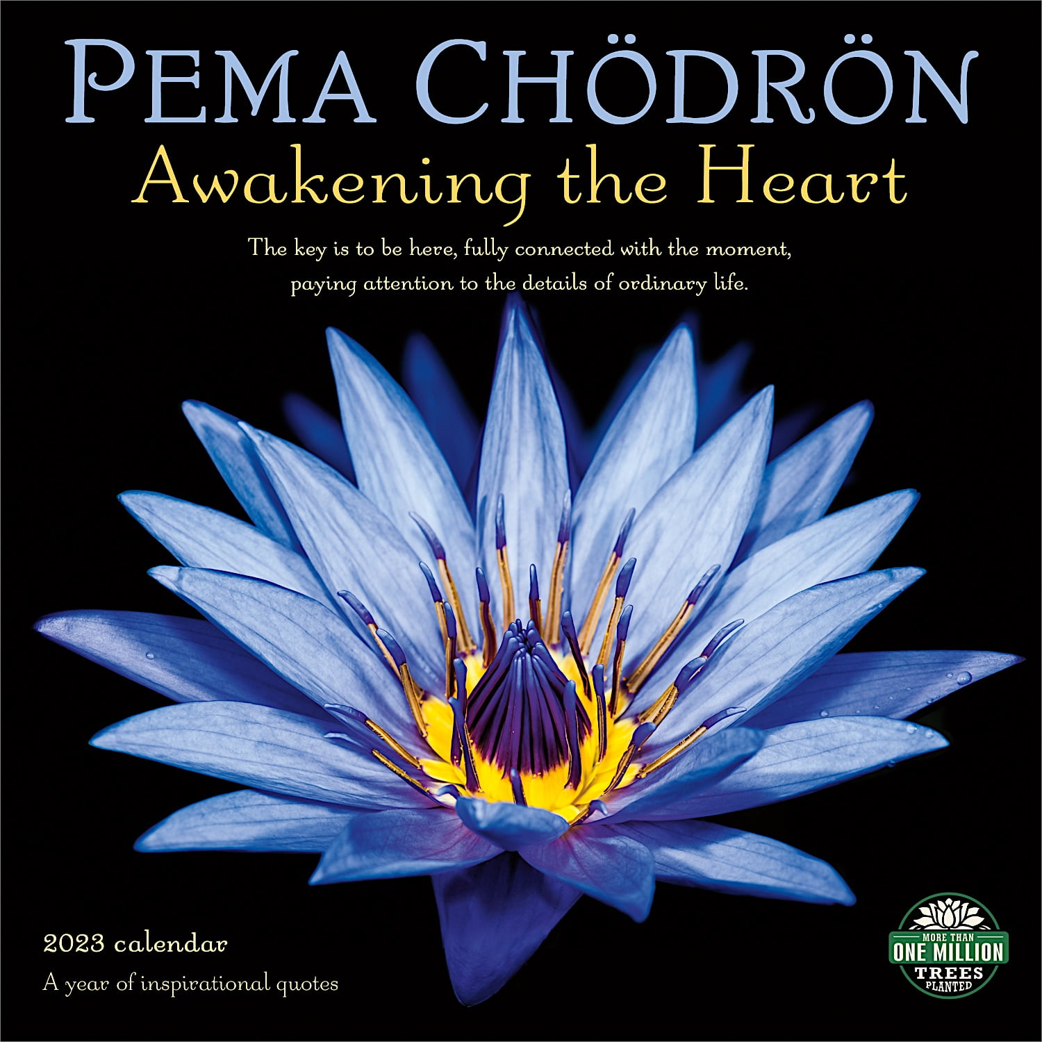 Pema Chodron 2023 Wall Calendar A Year of Inspirational Quotes