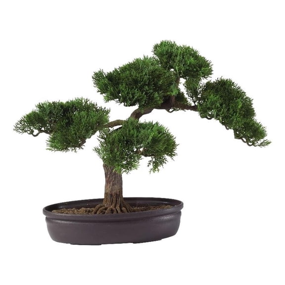 Pemberly Row 16" Cedar Bonsai Silk Plant with Exposed Roots in Green/Black