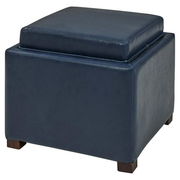 Pemberly Row 17" Bonded Leather Storage Ottoman in Vintage Blue