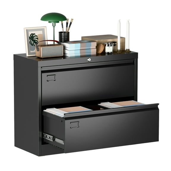 Pemberly Row 2-Drawer Steel Metal Lateral Locking Filing Cabinet w/ Lock - Black