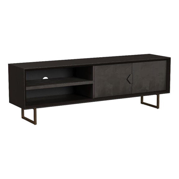 Pemberly Row 2-door Farmhouse Wood Rectangular TV Stand in Black