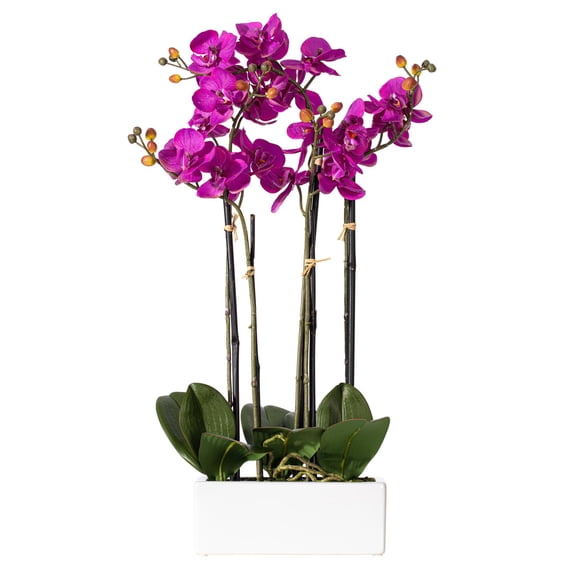 Pemberly Row 21" Contemporary Plastic Artificial Orchid in Purple