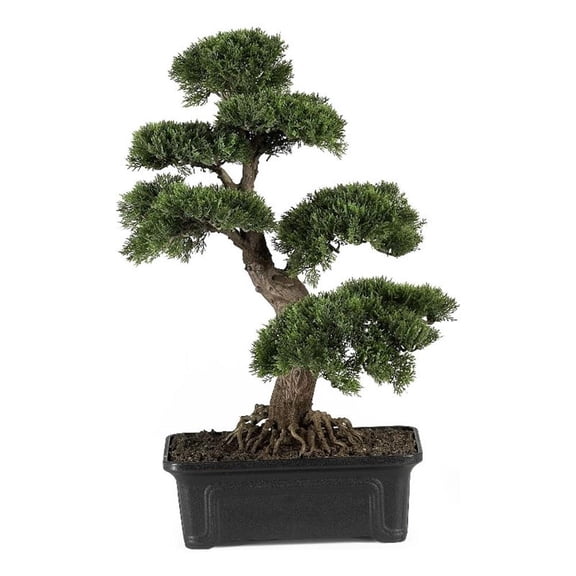 Pemberly Row 24" Cedar Bonsai Silk Plant with Exposed Roots in Green/Black