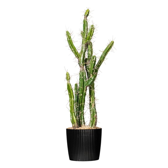 Pemberly Row 34" Contemporary Plastic Artificial Cactus with Black Pot in Green