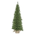 thumbnail image 1 of Pemberly Row 36" Contemporary PVC Pine Artificial Christmas Tree in Green, 1 of 1