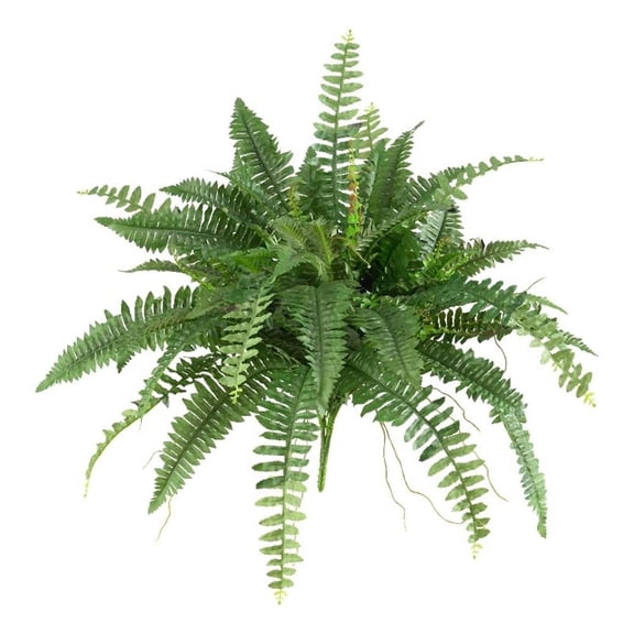 Pemberly Row 40" Boston Fern with Sword-Shaped Fronds in Green (Set of 2)