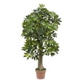 thumbnail image 1 of Pemberly Row 48" Schefflera Silk Tree Real Touch in Green/Tan, 1 of 5