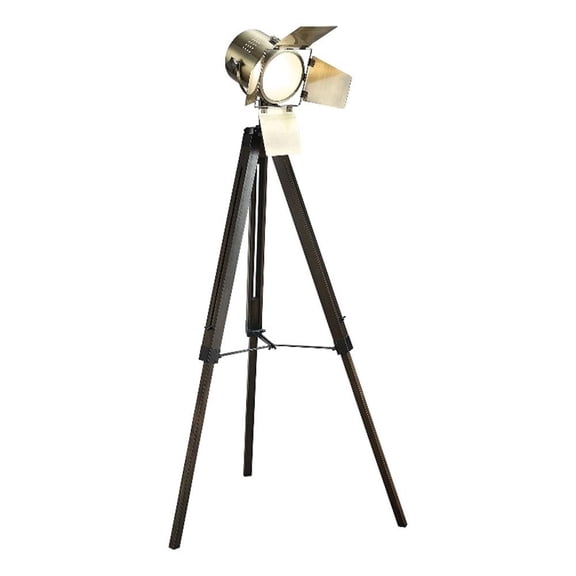 Pemberly Row 55" Floor Lamp with Tripod Legs and Spotlight Design in Black