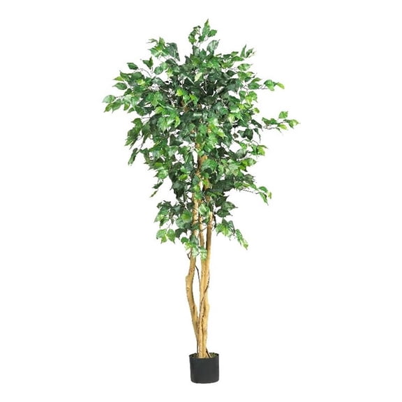Pemberly Row 60" Ficus Tree with Natural Wood Trunks in Green/Black