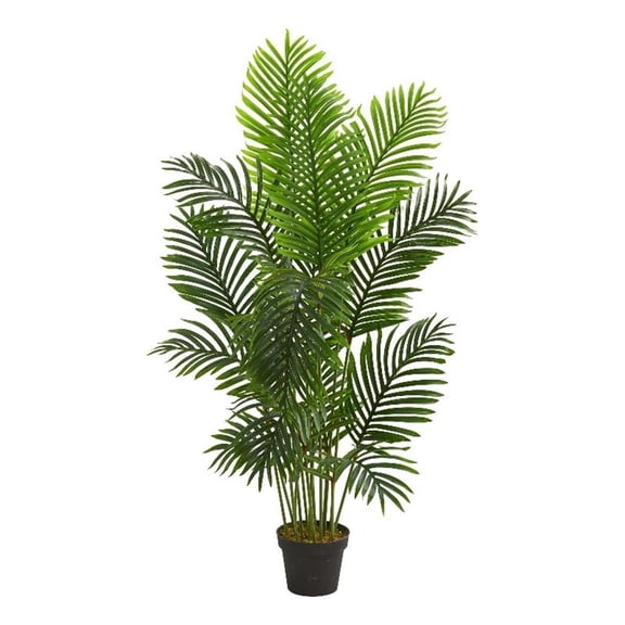 Pemberly Row 60" Paradise Palm Artificial Tree in Green/Black