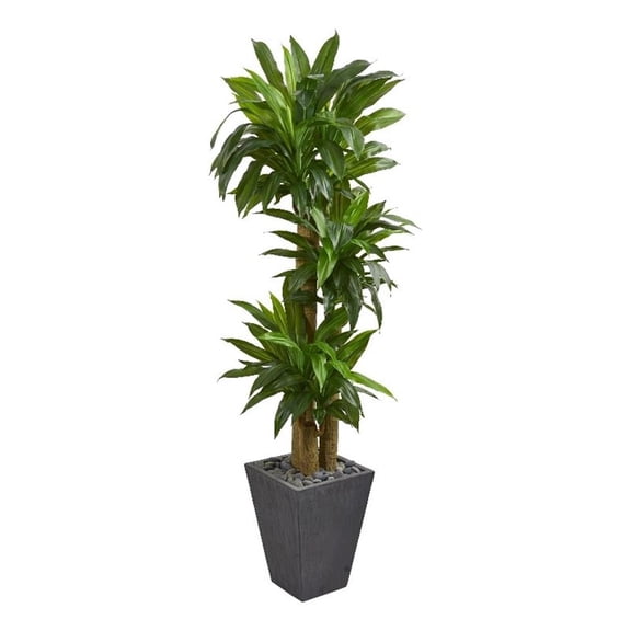 Pemberly Row 66" Cornstalk Dracaena Artificial Planter Real Touch Green/Slate