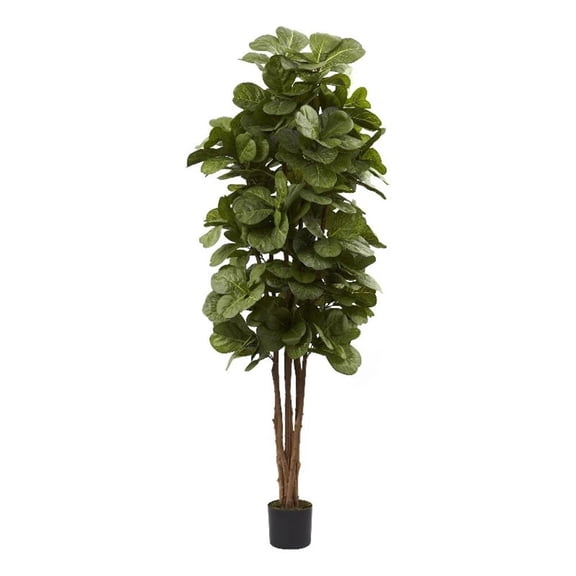 Pemberly Row 72" Fiddle Leaf Fig Tree with Several Trunks in Green/Black