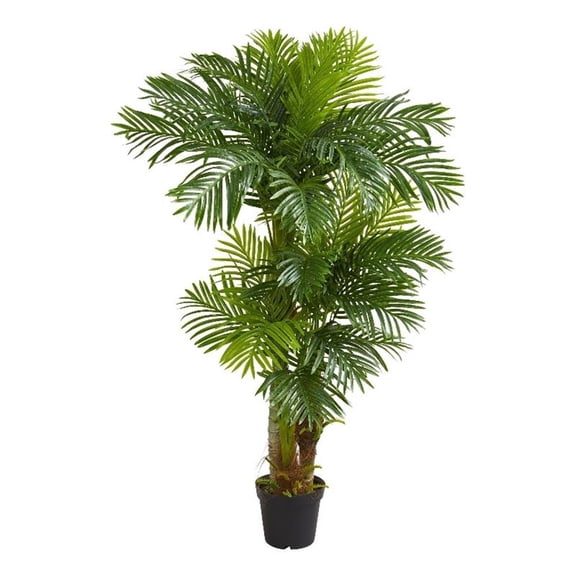 Pemberly Row 72" Hawaii Artificial Palm with Feather-Like Fronds - Green/Black