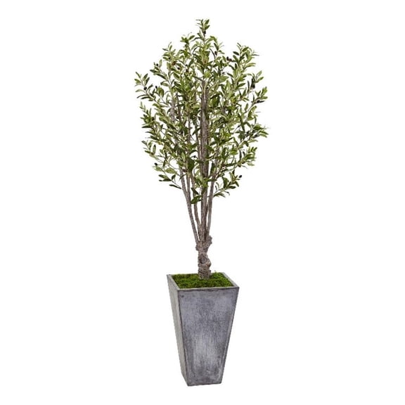 Pemberly Row 72" Olive Artificial Tree in Stone Planter in Green/Gray
