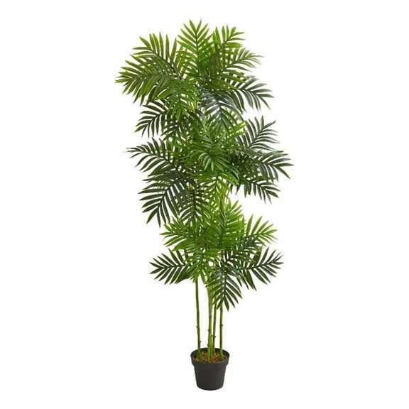 Pemberly Row 72" Phoenix Palm Artificial Tree in Green/Black