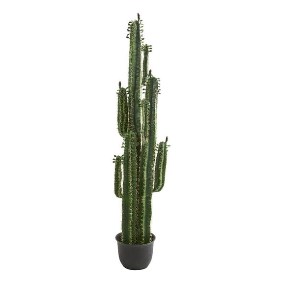 Pemberly Row 78" Cactus Artificial Plant in Green with Black Pot