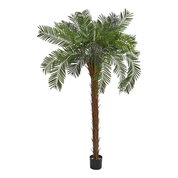 Pemberly Row 84" Tall Cycas Palm Artificial Tree in Green/Black