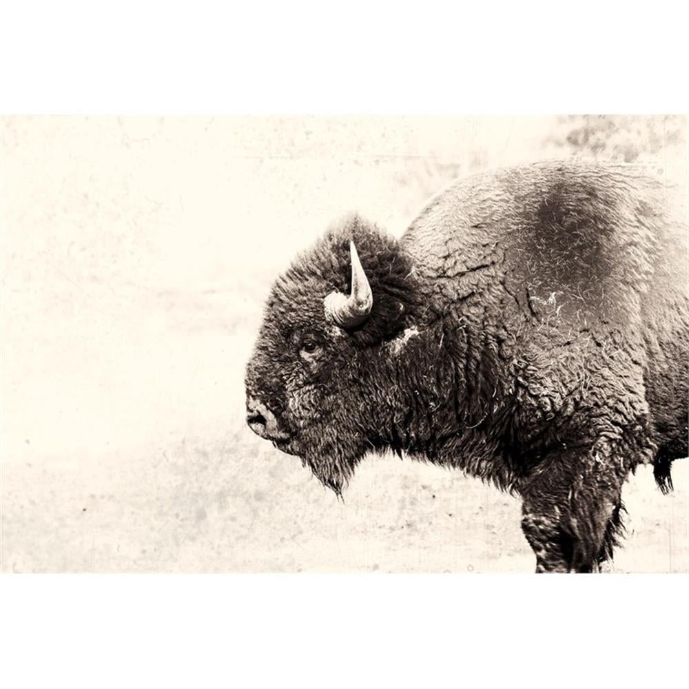 Giant 84x54 Pink Buffalo Fine Art Canvas Print