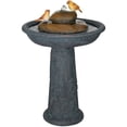 thumbnail image 1 of Pemberly Row Bird Bath Outdoor Fountain, 1 of 1