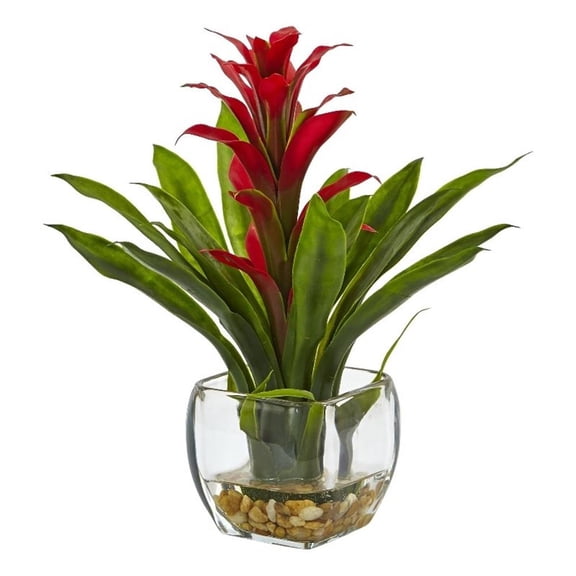 Pemberly Row Bromeliad with Glass Vase Arrangement in Red/Clear