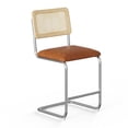 thumbnail image 1 of Pemberly Row Cane Back Vegan Leather Counter Height Stool (Set of 2) in Brown, 1 of 5