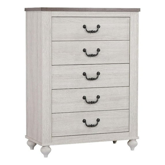Pemberly Row Contemporary 5-drawer Farmhouse Wood Chest in Gray Finish
